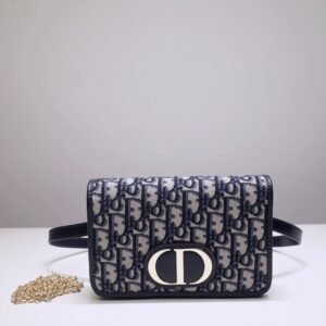Fake Dior 30 Montaigne Pouch