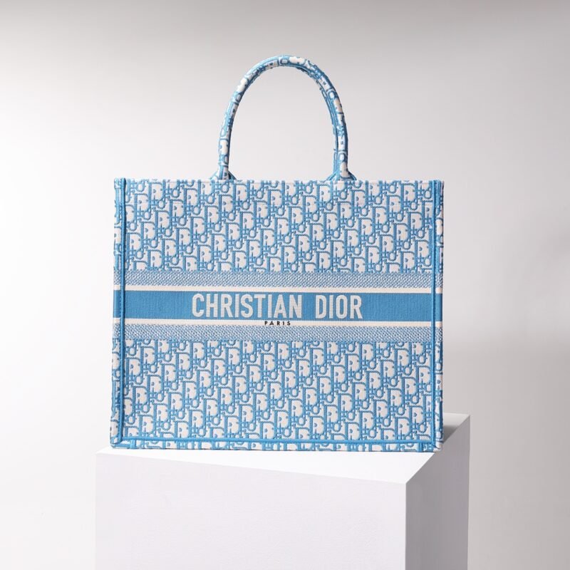 Fake Dior Tote Book Cd Light Blue