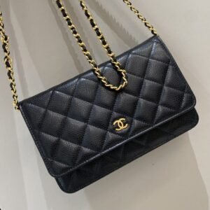 CHANEL Woc Wallet on Chain