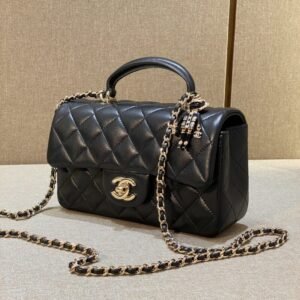 CHANEL Classic Flap 20cm Lion