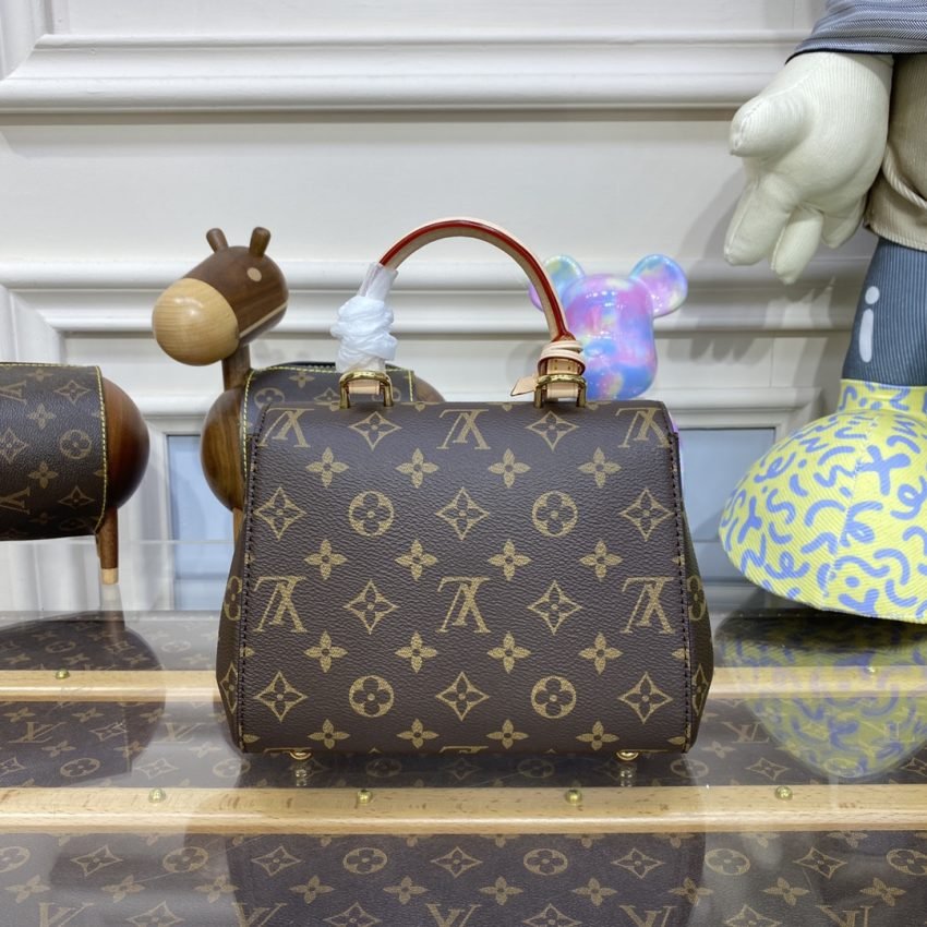 Fake Louis Vuitton Cluny Mini Brown - Image 3