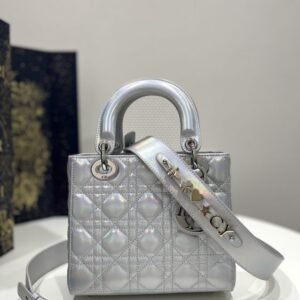 Fake Lady Dior Silver Abc