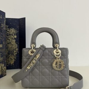 Fake Lady Dior Grey Abc