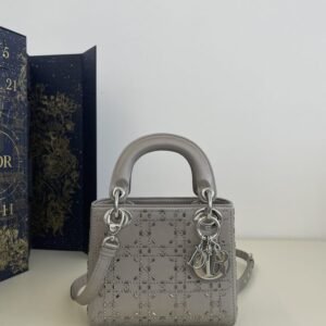 Fake Lady Dior Mini Satin Grey