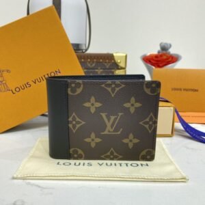 Louis Vuitton Multiple Wallet
