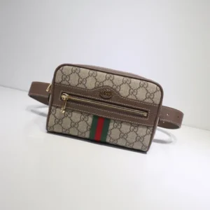 Gucci GG Ophidia Belt Bag