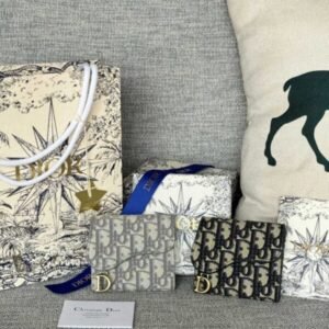 Fake Dior Saddle Wallet